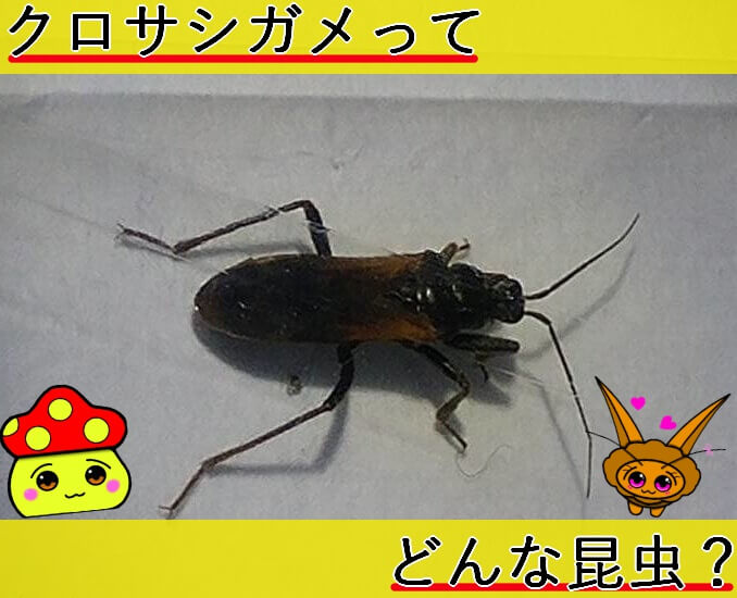 Thumbnail of post image 084